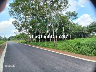 Đất CLN Chính Chủ giáp KCN tại Long Hòa, Dầu Tiếng, Bình Dương