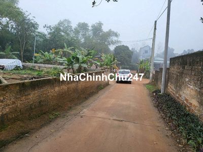 Bán lô góc 245m2 đất Tân An-Sơn Đông gần Khu CN Sơn Đông giá chính chủ