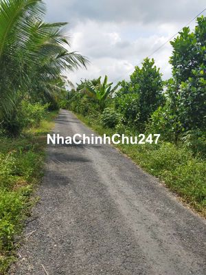 Đất full thổ cư xe hơi vào tới đất