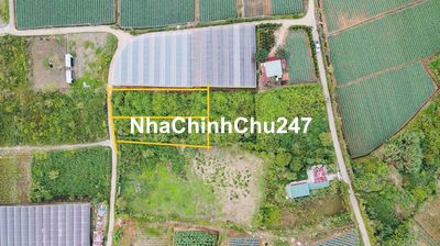 CHỈ 2 TỶ SỞ HỮU 700M SỔ RIÊNG HẺM XE HƠI P.10 ĐÀ LẠT VIEW RỪNG THÔNG