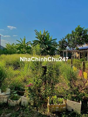 Nhanh tay chỉ với 630tr sở hữu ngay lô đất 120 m2 ở ngay chợ Lạc Thành