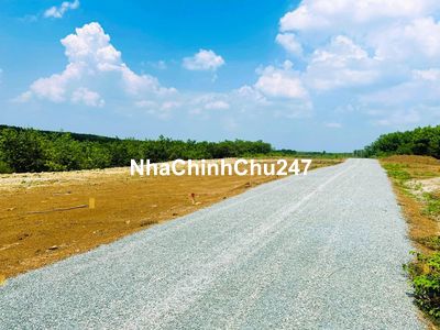 Chính chủ cần bán gấp 250m2 đất THANH AN  có 100 thổ cư giá 200 triệu