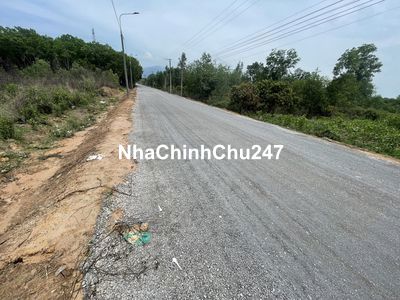 Chính chủ cần bán 7240m2 đất full hồng, mặt tiền đường nhựa Phượng Vỹ