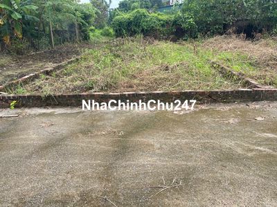 Chính chủ cần bán gấp 50m2 đất Đông Sơn, Quang Tiến, Sóc Sơn, Đường 5m