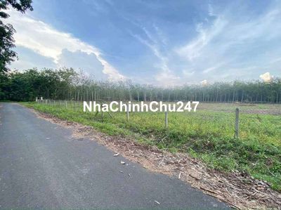 Chính chủ cần bán gấp 1400 m2 đất tại Bầu bàng Bình Dương