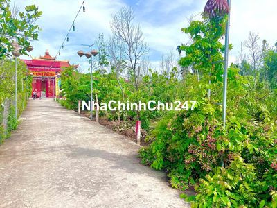 Đất thổ cư gần chợ Bình Lãng. Đường bự