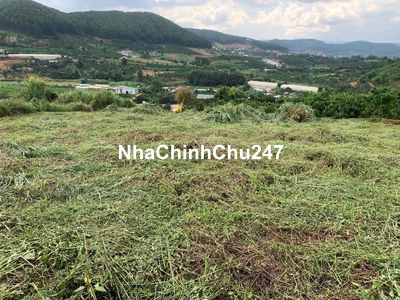 Chỉ 990 triệu có 771m2 đất sẵn Thổ cư tại Mê Linh ven Đà Lạt