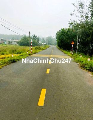 Chính chủ bán vườn sầu riêng 3,1 sào giá 1tỷ990tr,sổ hồng,thương lượng