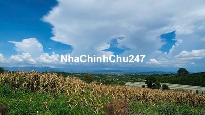 Chủ Xa Bờ! Đúng 680triệu có 1000m2 đất có thổ cư. Trung tâm Xã Tân Hà