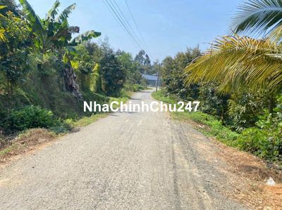 Mặt tiền Trường Chinh 1000m2 6xxtr không xem hơi phí