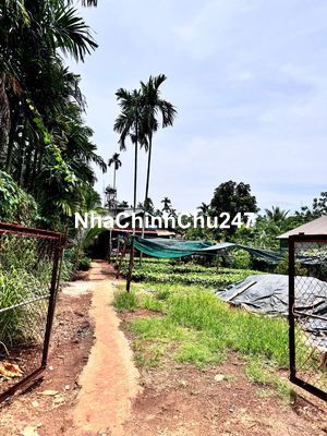 Tôi chính chủ cần bán đất sào đẹp view Đại lộ Đông Tây Buôn Ma Thuột