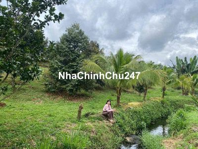 Chủ Ngộp nhượng vườn trái cây nghỉ dưỡng 3600m2 View đẹp tại Hàng Gòn