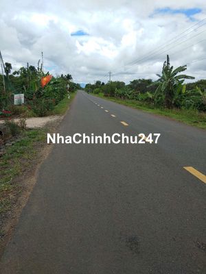 Chính chủ bán đất khu dân cư gần quốc lộ 29