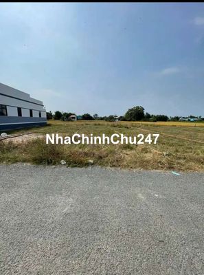 Chính chủ cần bán lô đất 125m2, ở Phước Tuy, Cần Đước.