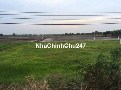 Chính Chủ Cần Bán Đất Mặt Tiền Nhựa