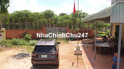 Bán 1.533m2 Phủ hồng toàn bộ,