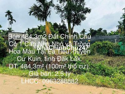 Bán 484,3m2 Đất Chính Chủ Có 1 Căn Nhà Nhỏ -Trồng Hoa Màu Tại Cư Kuin