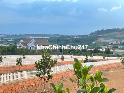 Đất nghỉ dưỡng ven Đà Lạt view đồi thông cách DT 725 800m