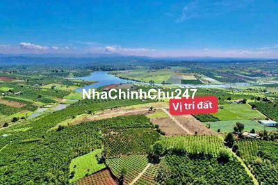 545 Triệu bán Đất viu hồ xã Phúc Thọ có thổ cư tặng rào xây sẵn