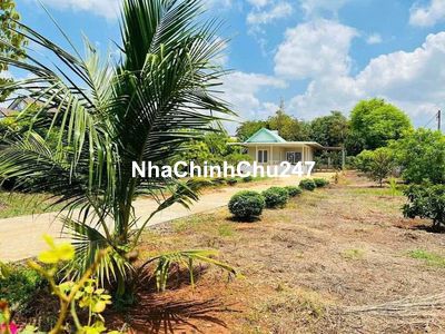 Chính chủ cần bán 1000m2, Giá rẻ 500 triệu, công chứng nhanh bớt lọc