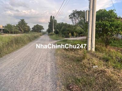 Đất An Ninh DT: 53x39 Lúa khu vực lên thổ cư giá tốt Đức Hòa