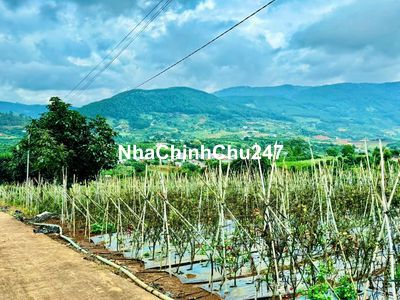 Đất nghỉ dưỡng view hồ Đông Thanh và thị trấn Nam Ban gần đường nhựa