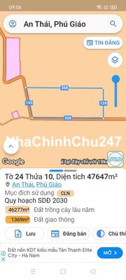 Đất Mẫu xã An Thái 4,7ha có cây cao su cạo đang mủ giá rẻ 1,4 tỷ/ha