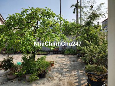 Cần bán gấp mảnh đất nhà vườn 498m2 Minh Tân, Kiến Thụy, Hải Phòng.