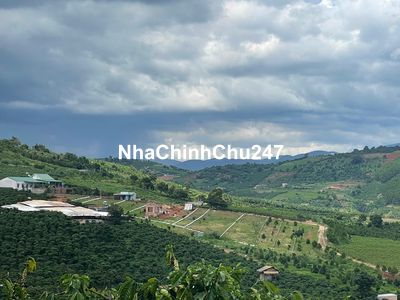 Đất nghỉ dưỡng ven Đà Lạt sẵn thổ cư tặng thiết kế nhà giá 630 triệu