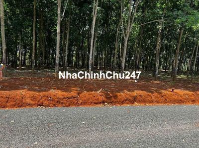 MUA RẺ LỜI NGAY_BÁN ĐẤT SÀO GIÁ SIÊU RẺ BÌNH PHƯỚC CHỈ 32K/m2