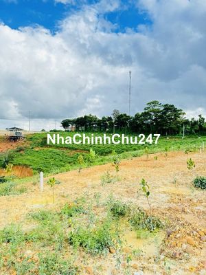 Bán 5,5 sào đất xã Nam Hà, cách đường nhựa 100m, giá chỉ 432 nghìn/m2