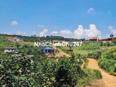 Đất đẹp gần khu nghỉ dưỡng cách Chợ Đà Lạt 25km view đồi hoa cực Chill