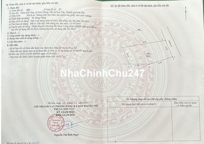 CHÍNH CHỦ BÁN  LÔ ĐẤT TRỤC CHÍNH THÔN  ĐỒI VUA, SƠN ĐÔNG