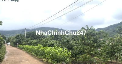 Chính chủ bán 45m mặt tiền đất nghỉ dưỡng ven Đà Lạt, 2193 m2