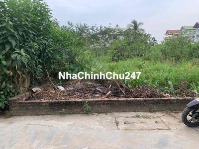 Chính chủ cần bán 50m2 đất full thổ cư Hiền Ninh , Sóc Sơn, HN