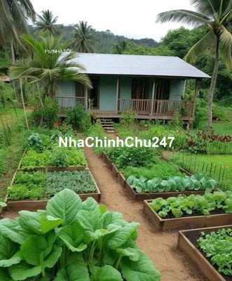 Chính chủ bán nhanh nền 327m Gò Công Đồng Tiền Giang 520tr