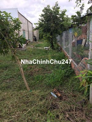 BÁN ĐẤT CHÍNH CHỦ HIỆP HOÀ LONG AN-250M- full thổ giá 1,35tỷ