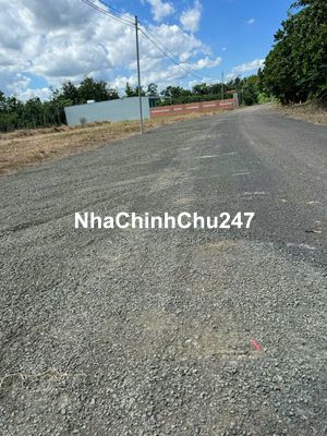 chủ cần bán gấp lô đất đường nhựa 12m giá 470 triệu không thương lượng