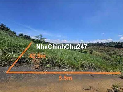 Ngân hàng thanh lý tài sản (Chiết khấu ngay 15%)