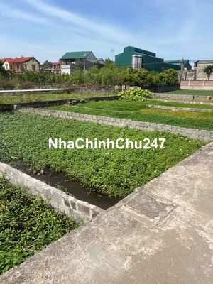 CHÍNH CHỦ BÁN ĐẤT THƯỜNG TÍN  SỔ 67.5 M GIÁ 30 TRIỆU/ M2