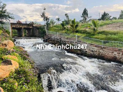 Chính chủ bán Đất View đẹp Bảo Lộc.View suối Lộc An.Nghĩ dưỡng.