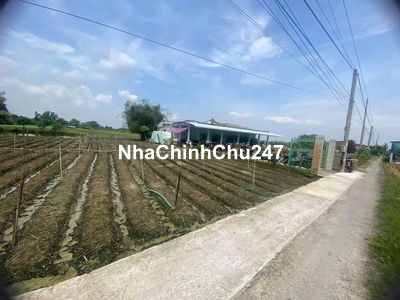 Chính chủ cần bán nhà cấp 4, 1648m2 sổ hồng riêng 50x34m, đường 6m.