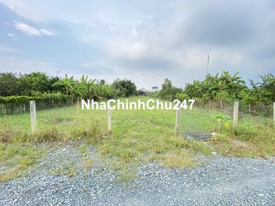 Chính chủ cần bán 1355m2 đất lúa xã Long Thượng