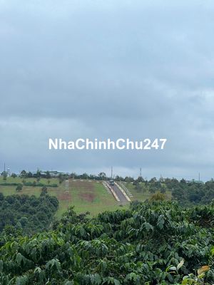 SỞ HỮU NGAY ĐẤT CHÍNH CHỦ THỔ CƯ 100M2 TẠI DI LINH, LÂM ĐỒNG