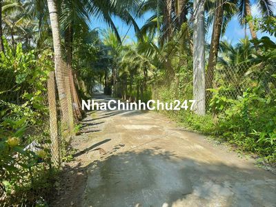 CHÍNH CHỦ BÁN ĐẤT ĐẸP, GIÁ TỐT – XÃ THẠNH PHÚ, CHÂU THÀNH, TIỀN GIANG