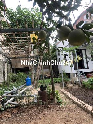 Bán nhà đất nghỉ dưỡng chính chủ gần 150m2 Quận Long Biên, Hà Nội