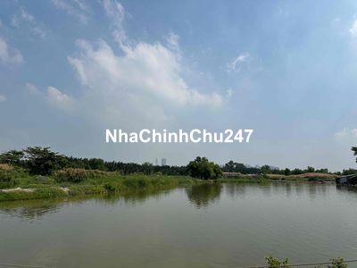 Chính chủ cần bán đất nông nghiệp tờ bđ số 2. xã Phước Lộc