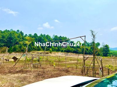 Chính Chủ 𝐂𝐀̆́𝐓 𝐋𝐎̂̃ 𝟑𝟎% Bán Lô Đất 1150m2 MẶT ĐƯỜNG NHỰA QH RỘNG 40m