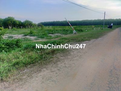 SIÊU PHẨM MT NHỰA CẨM GIANG 5×31M FULL TC CHỈ 499TR 💥💥RẺ CHƯA TỪNG CÓ