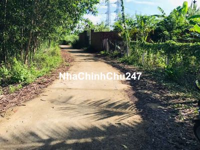 Vườn trái cây .có 100m² thô cư .thích hop làm nhà vườn .khu nghĩ dưỡng